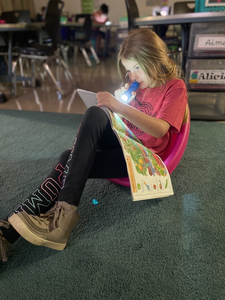 We love reading on Flashlight Friday! 